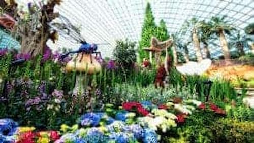 Flower Dome - Fun Things to do in Singapore (Credit: Gardens by the Bay)